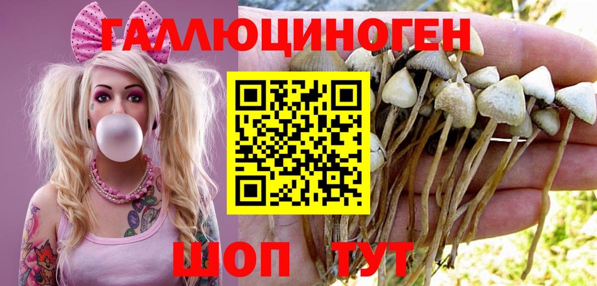 Приморско-Ахтарск  Псилоцибиновые грибы Magic Shrooms  Вход с VPN 